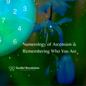 Numerology of Ascension & Remembering Who You Are -Self Paced