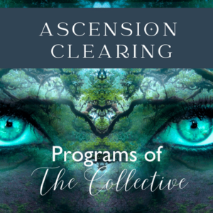 Ascension Clearing: Programs of the Collective - Recorded Session